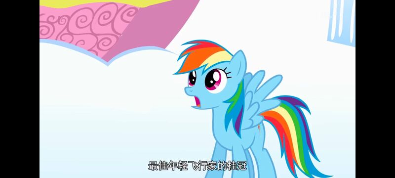 小马宝莉,小马宝莉友谊魔法,彩虹小马,我的小马驹,动画,动漫,番剧,ACG