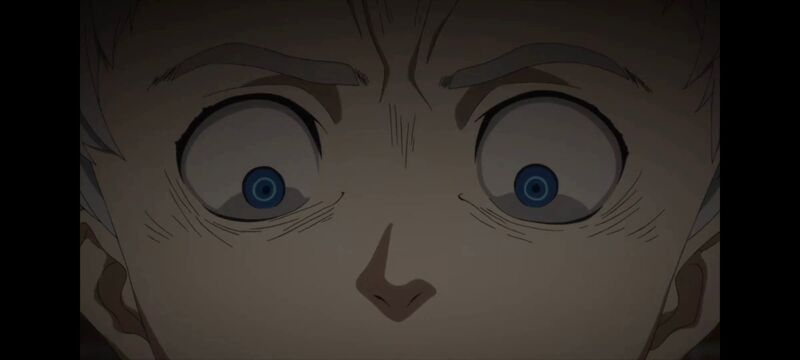 约定的梦幻岛,动画,动漫,番剧,ACG