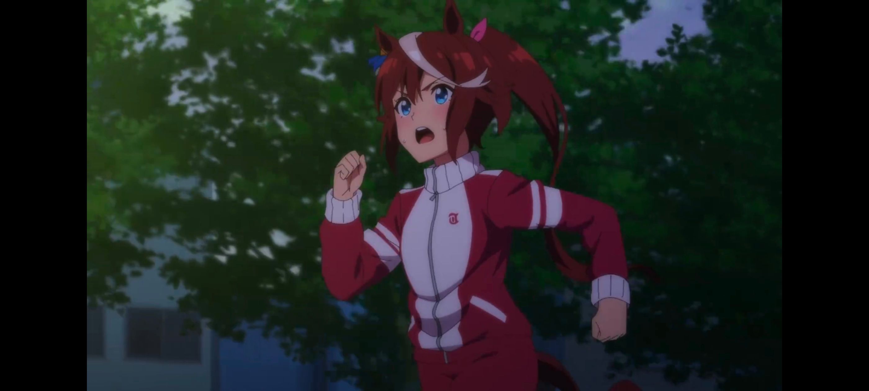 赛马娘,赛马娘PrettyDreby,赛马娘第二季,动画,动漫,番剧,ACG