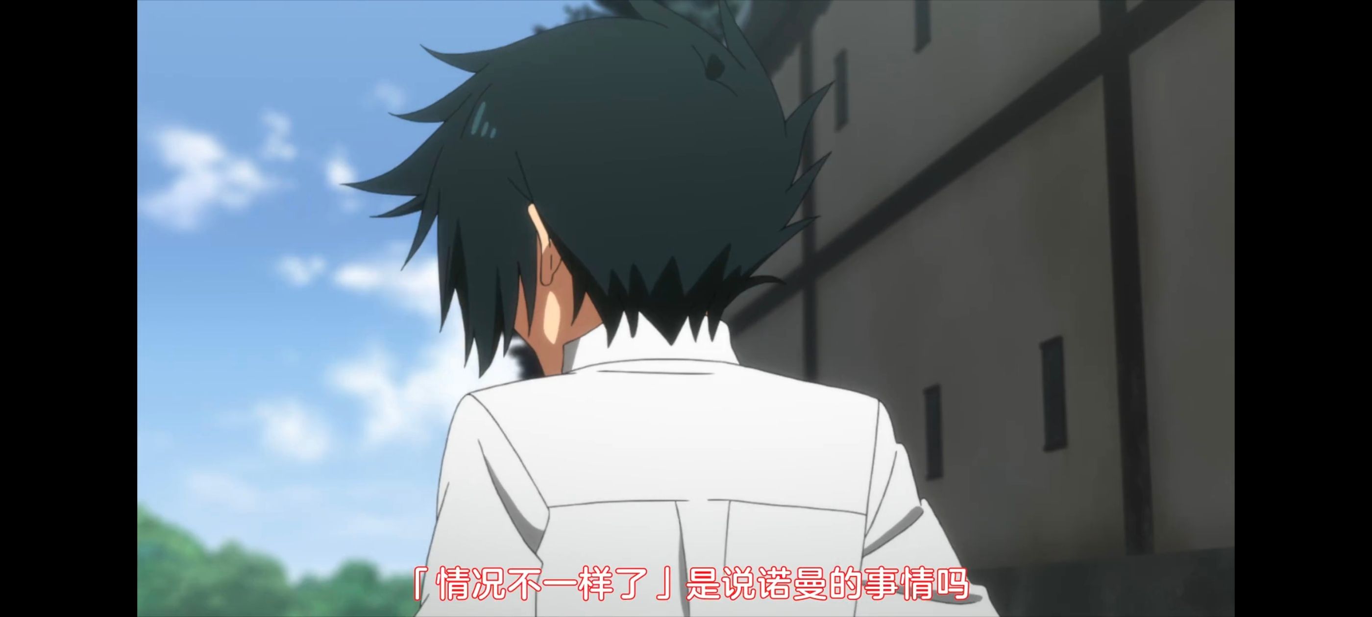 约定的梦幻岛,动画,动漫,番剧,二次元,ACG