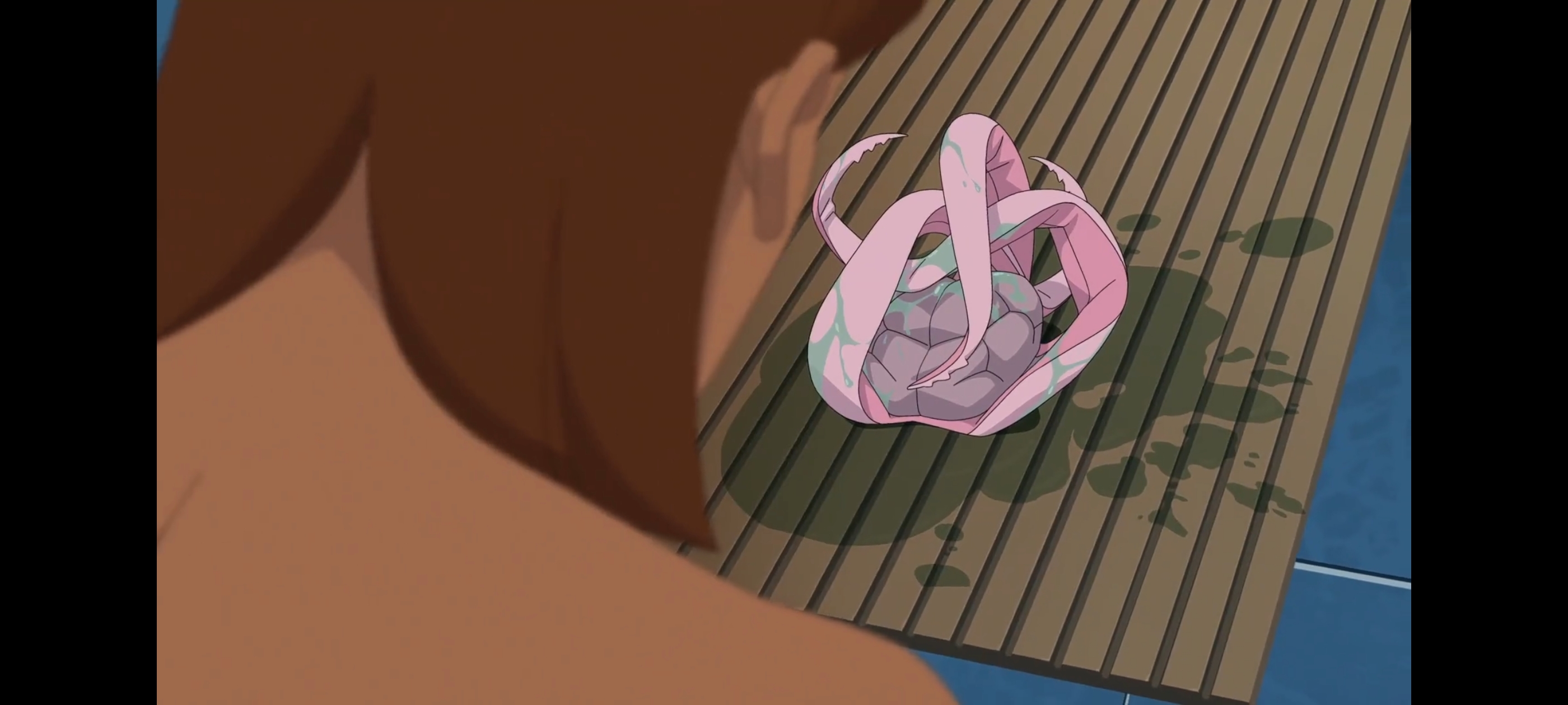 无敌少侠,动画,动漫,image,番剧,ACG