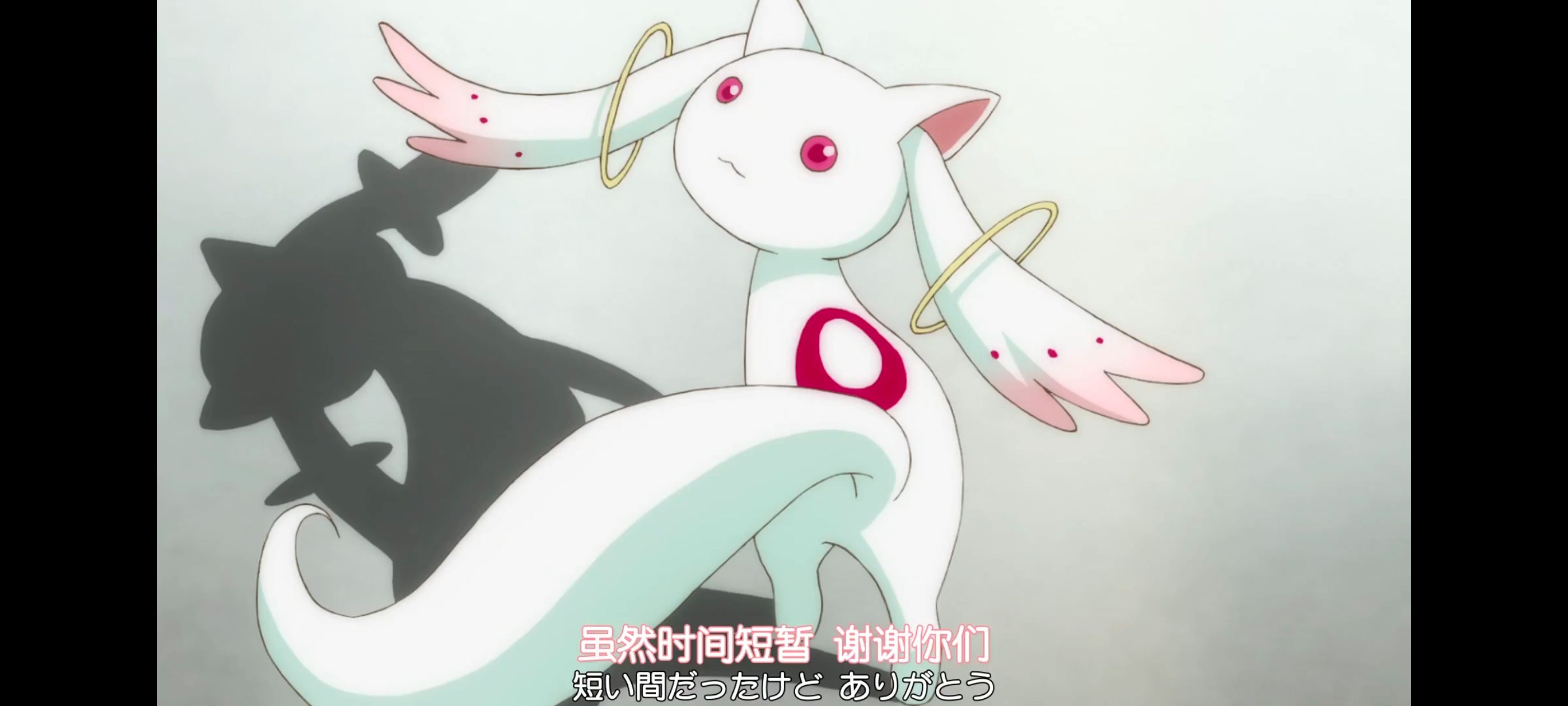 动漫,动画,魔法少女小圆,番剧,ACG