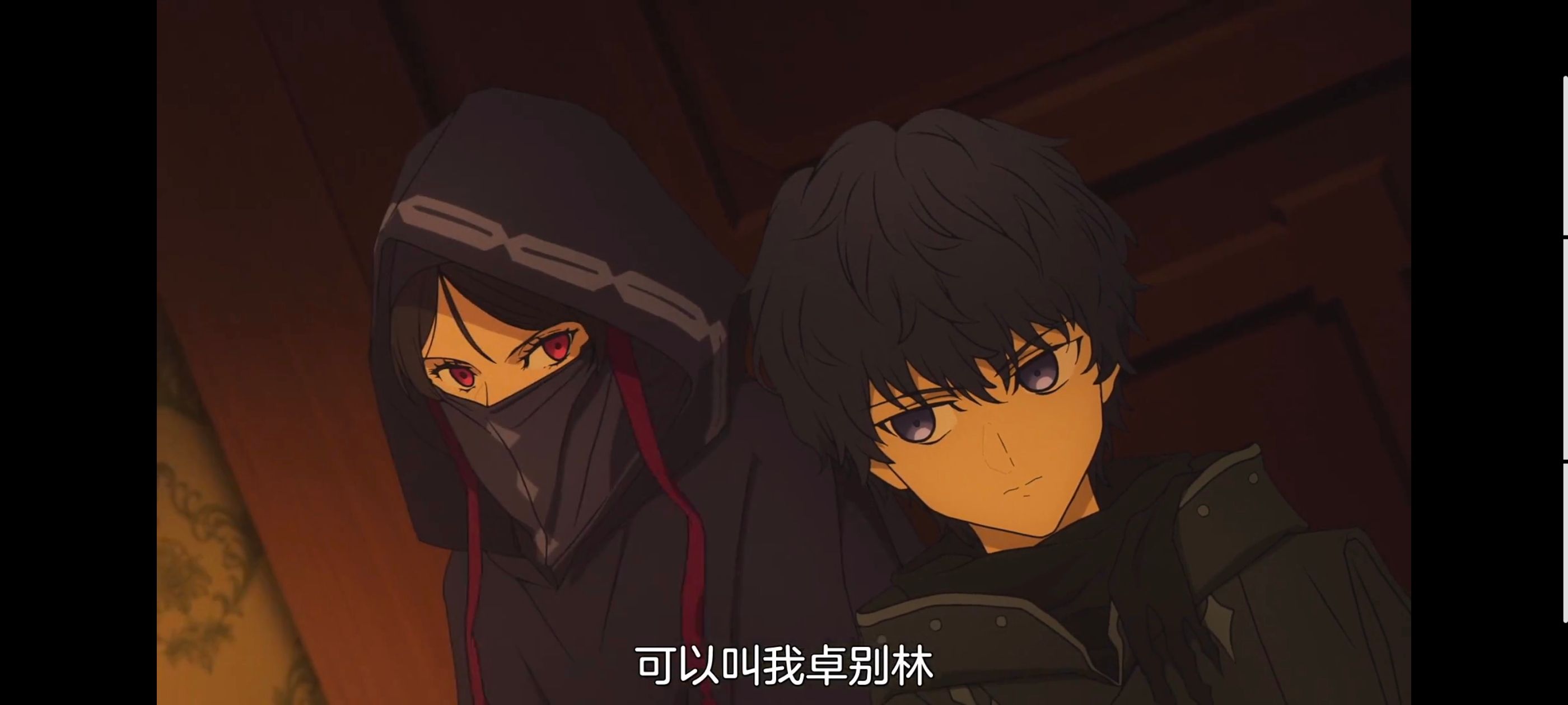 FATE,命运奇异赝品,FatestrangeFake,动画,动漫,番剧,ACG