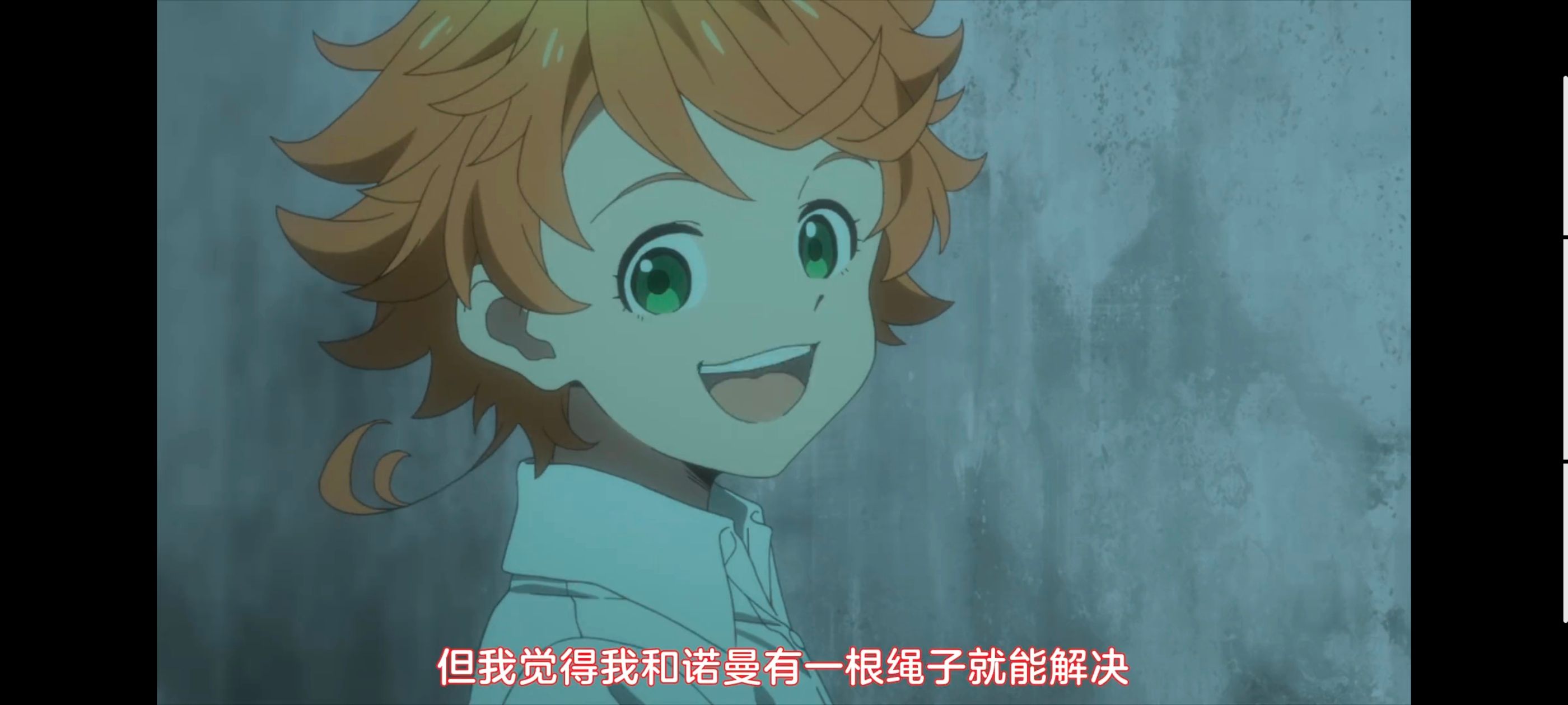 约定的梦幻岛,动画,动漫,番剧,ACG