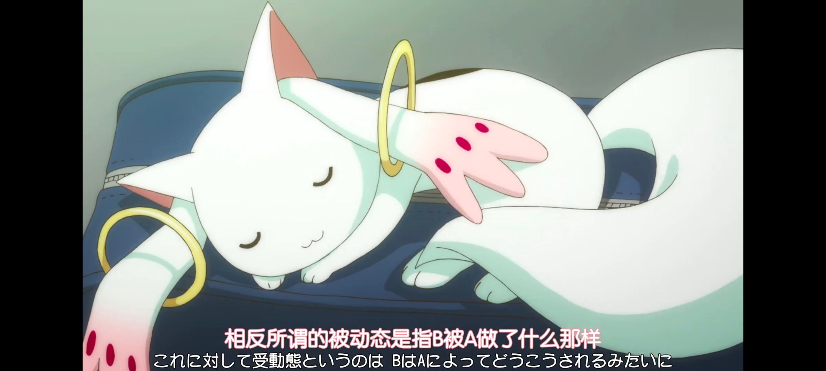 魔法少女小圆,魔法少女,动漫,动画,番剧,ACG