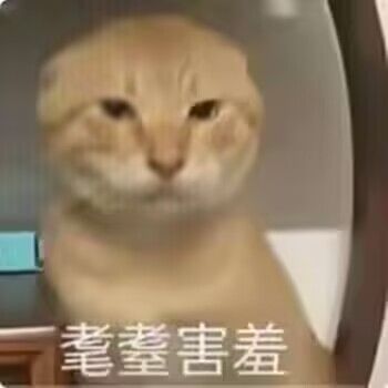 /static/07bcbe1c57304ef78e5982e2ae8f5cb4625f328f599a2b4bc5fd82bbdcfcd2d8.jpg