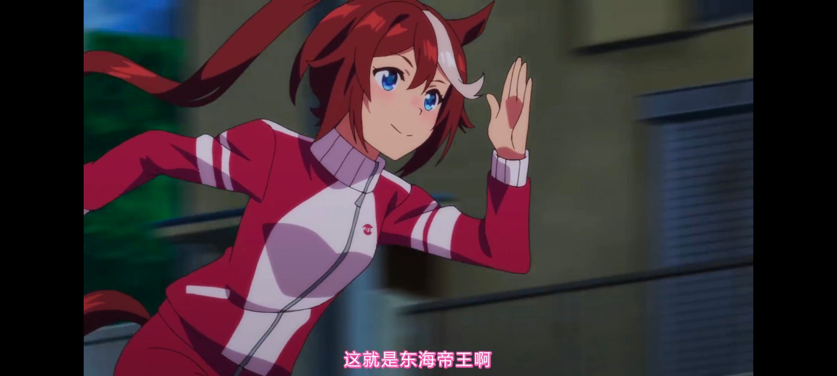 赛马娘,赛马娘PrettyDreby,赛马娘第二季,动画,动漫,番剧,二次元,ACG