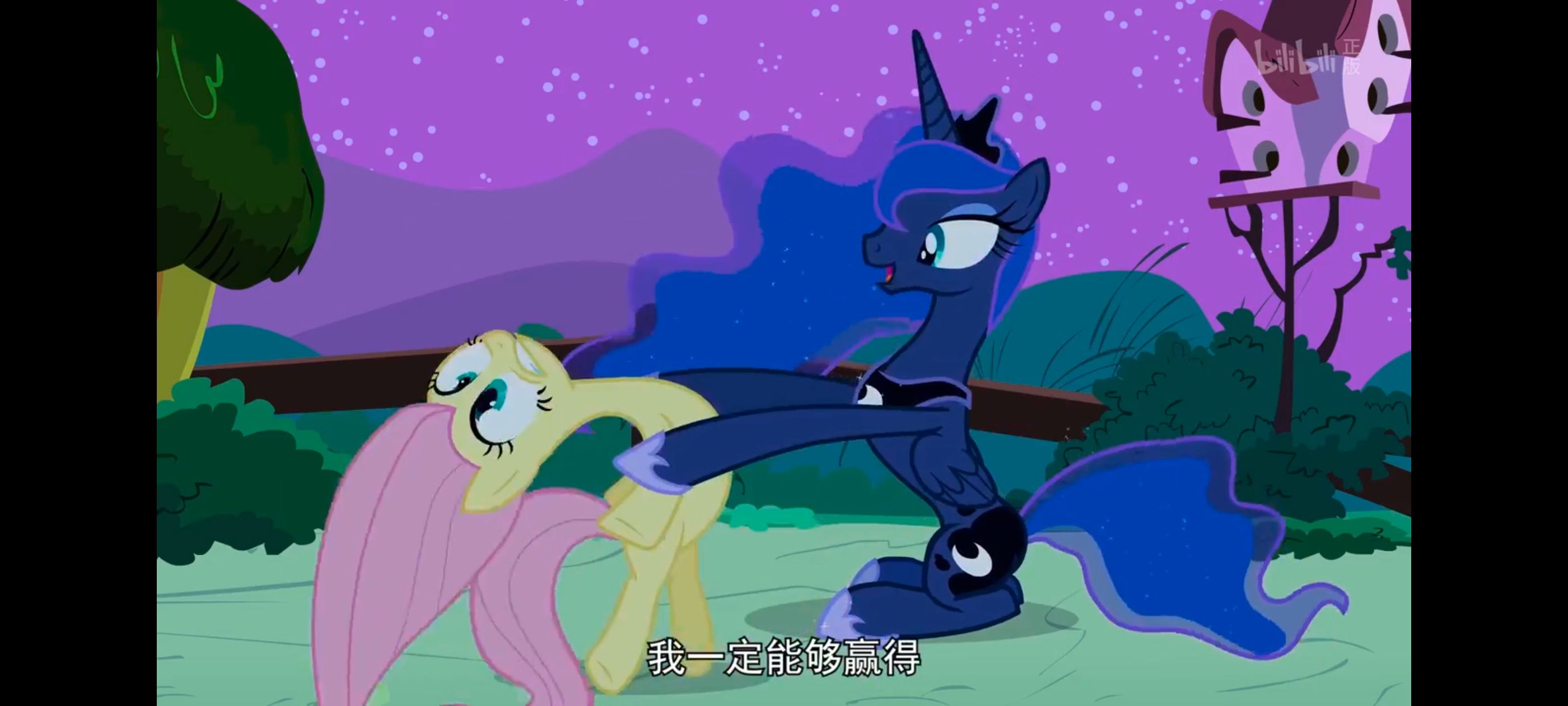 小马宝莉,小马宝莉友谊魔法,彩虹小马,我的小马驹,动漫,动画,番剧,ACG