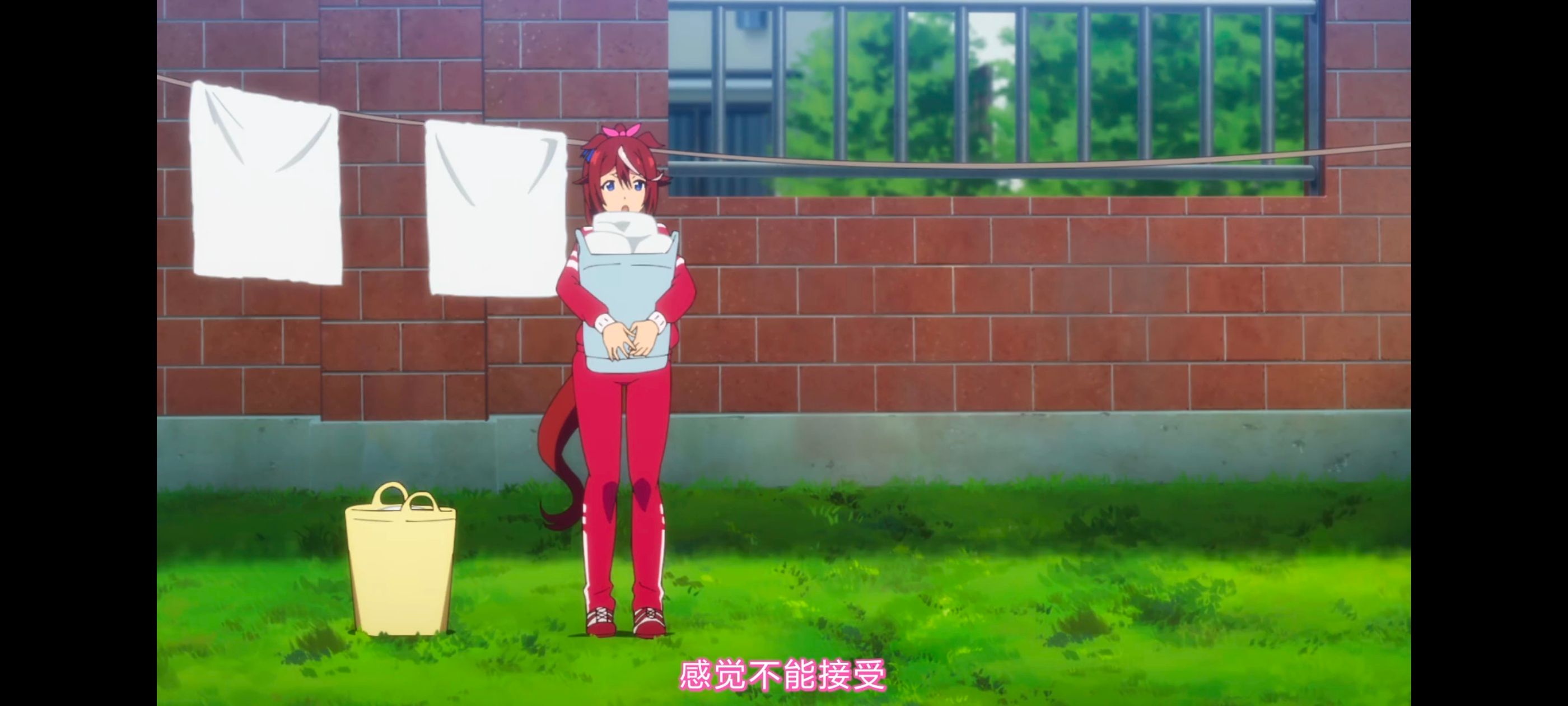 赛马娘,赛马娘PrettyDreby,动画,动漫,番剧,ACG