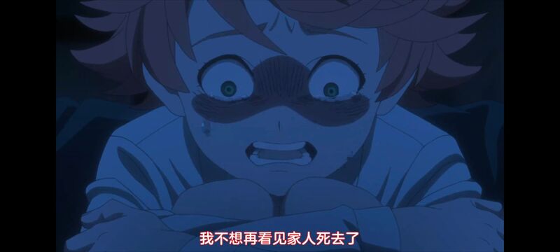 约定的梦幻岛,动画,动漫,番剧,ACG