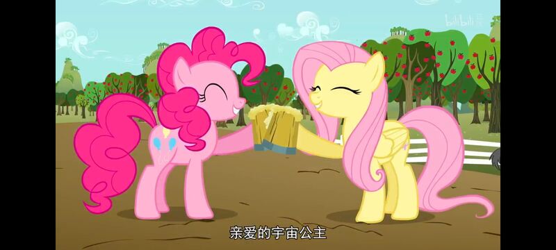 彩虹小马,小马宝莉,我的小马驹,美漫,动画,动漫,番剧,二次元,ACG