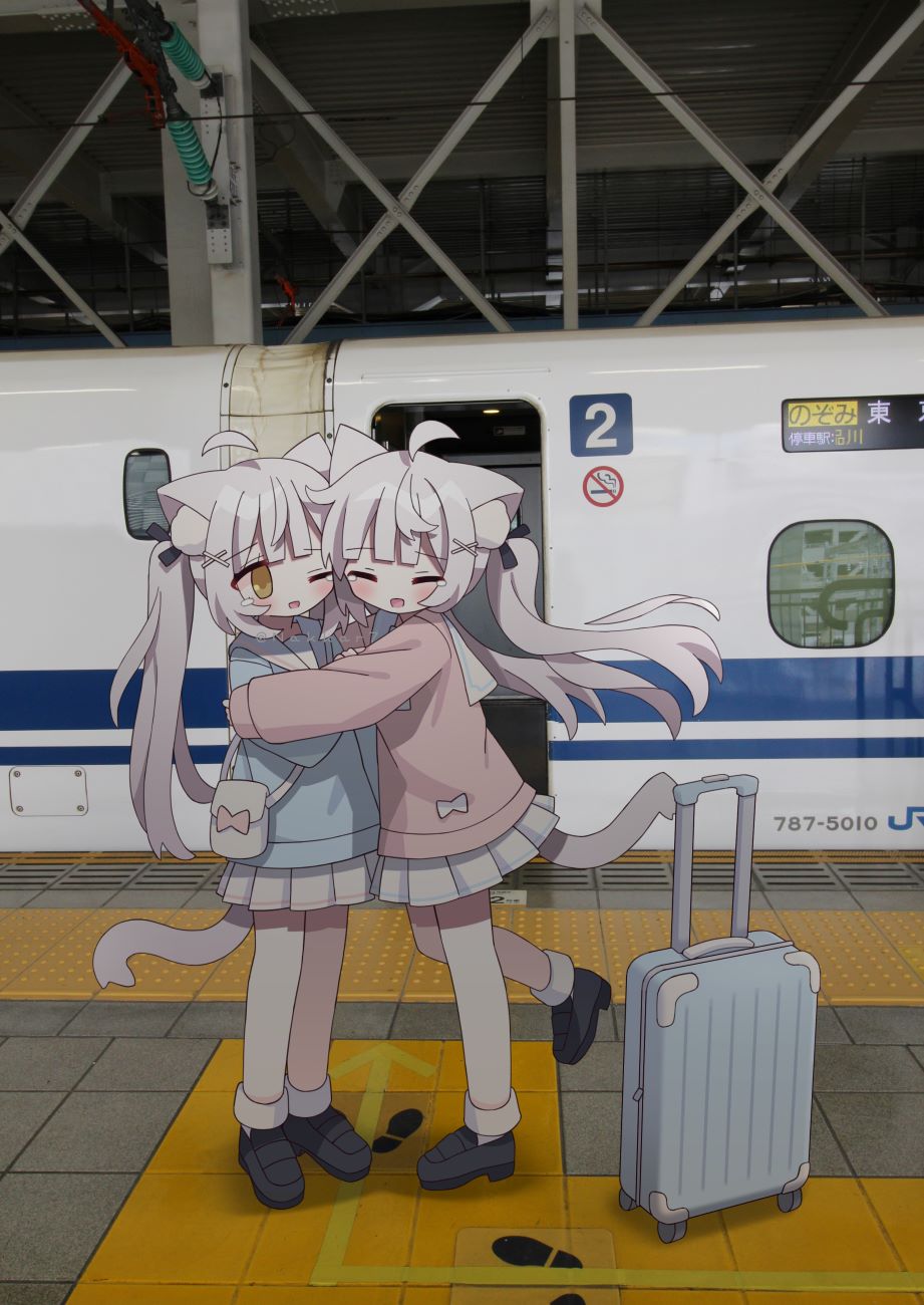 pixiv,二次元,绘画,壁纸,猫娘,美少女