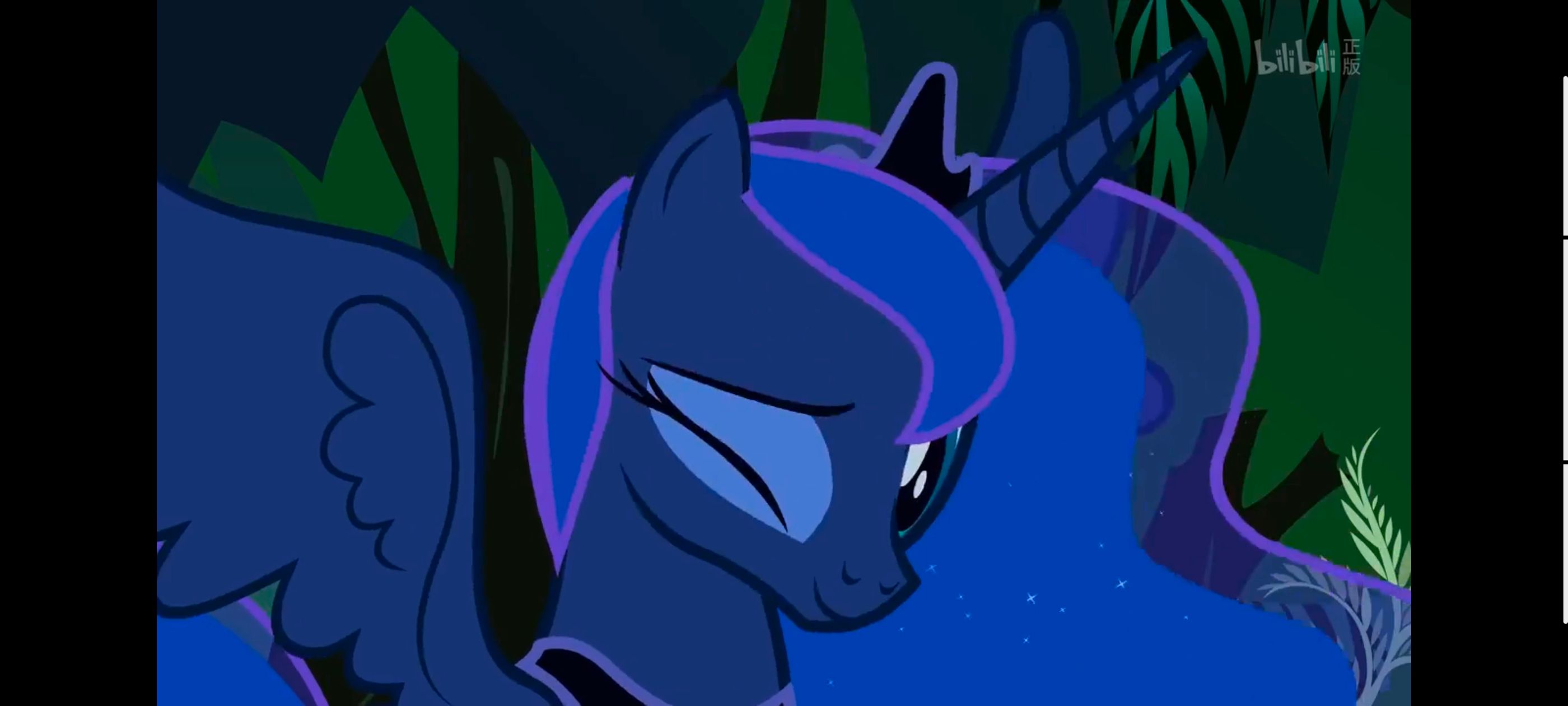 小马宝莉,小马宝莉友谊魔法,彩虹小马,我的小马驹,动漫,动画,番剧,ACG