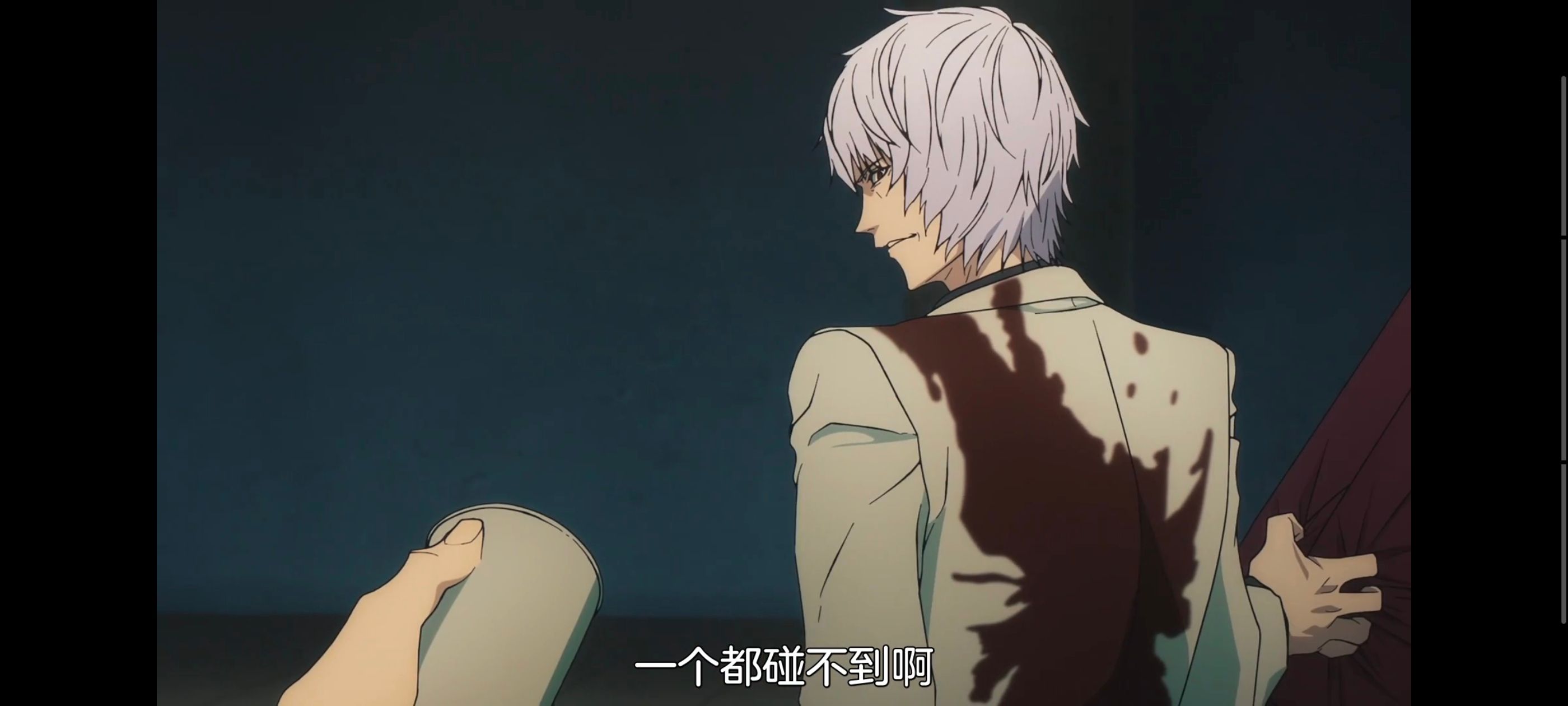 命运奇异赝品,FatestrangeFake,FATE,动画,动漫,番剧,ACG