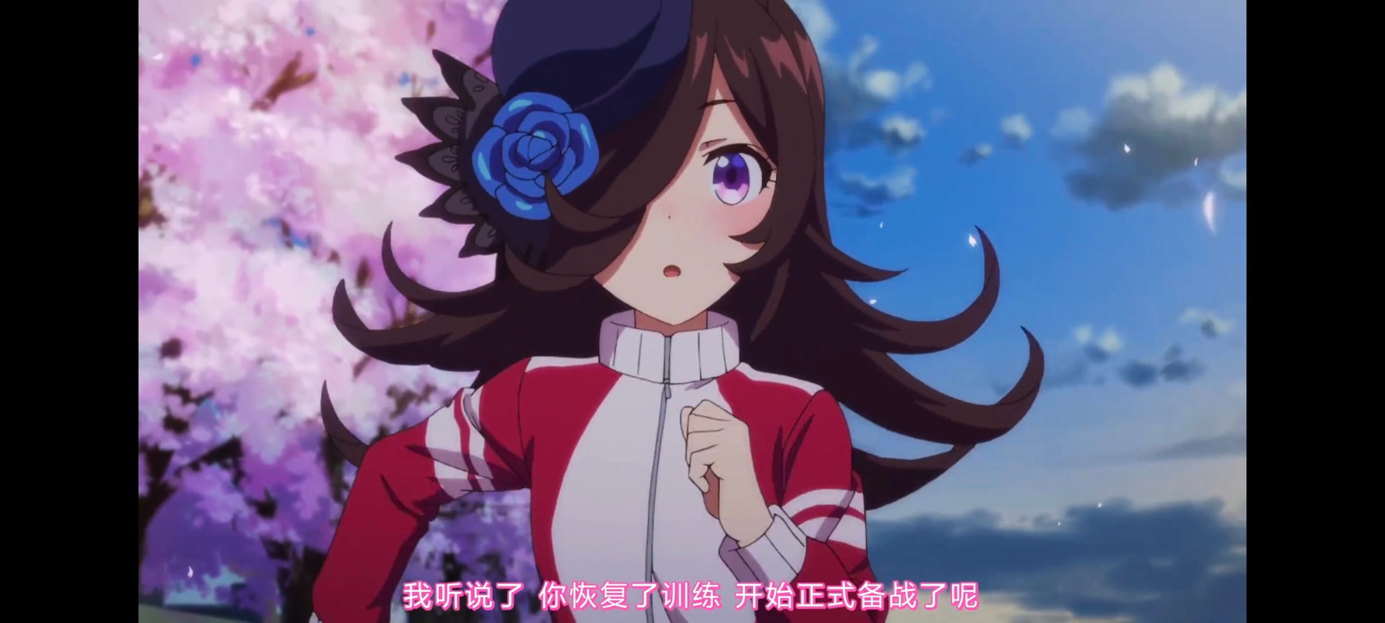 赛马娘,赛马娘PrettyDreby,动画,动漫,AMV,MAD,二次元,ACG