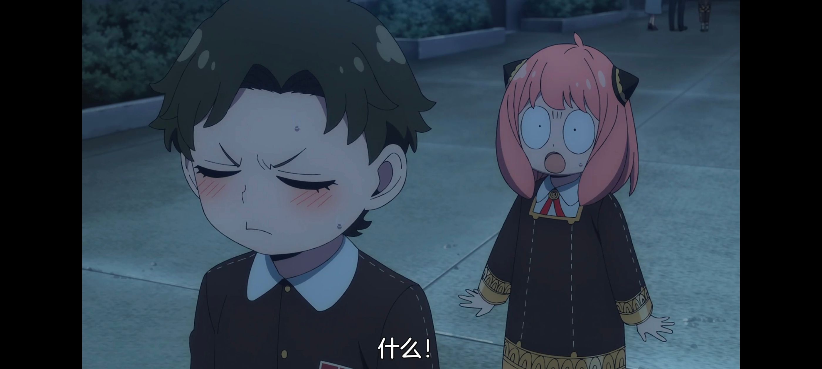 间谍过家家,SPYFAMILY,动画,动漫,番剧,ACG