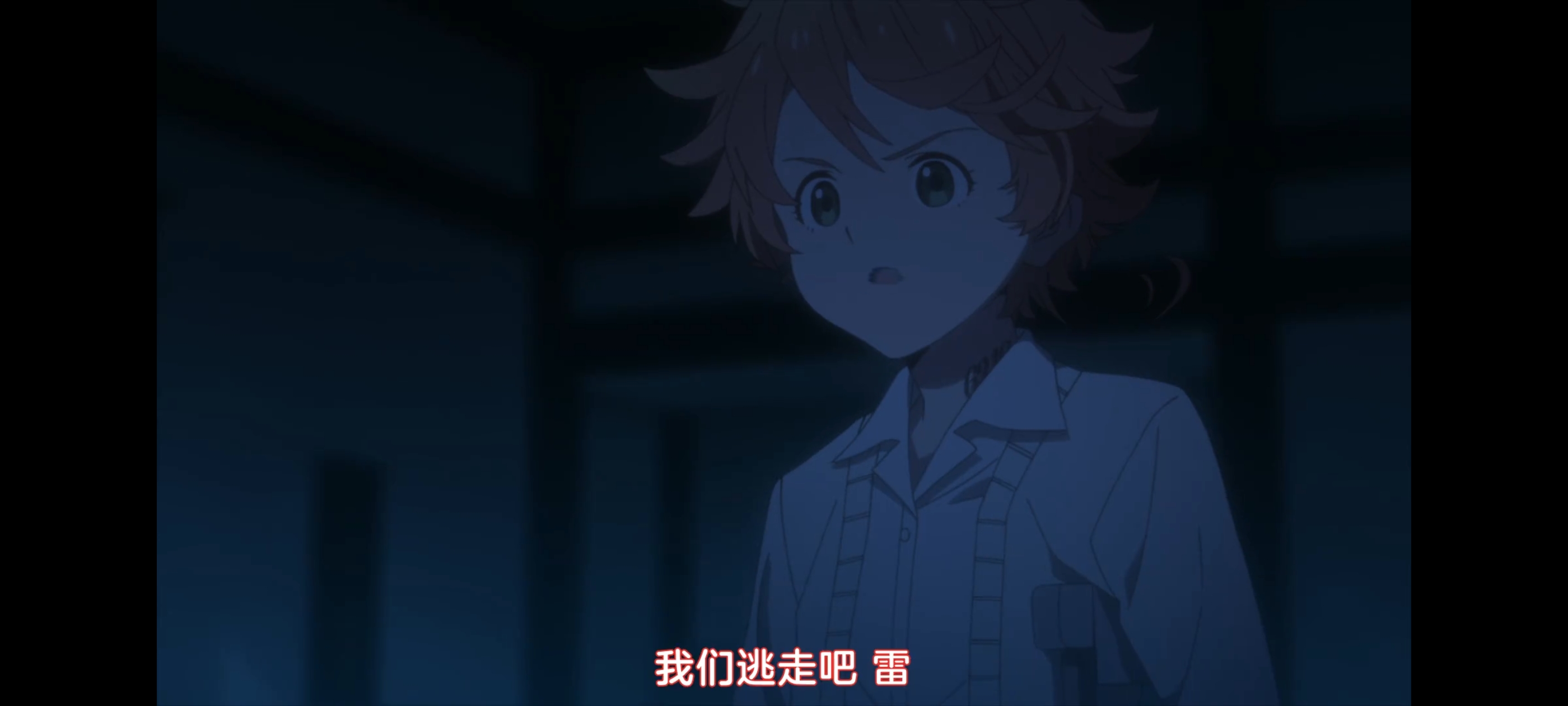 约定的梦幻岛,动画,动漫,番剧,二次元,ACG