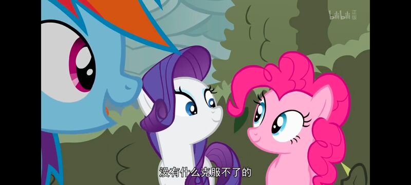 小马宝莉,小马宝莉友谊魔法,彩虹小马,我的小马驹,动画,动漫,番剧,ACG