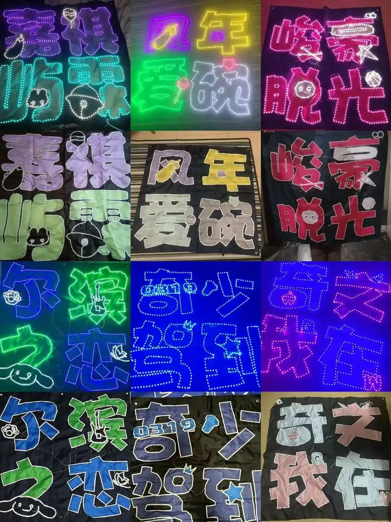 二次元,饭圈,eva,B站,童子军大王,动画