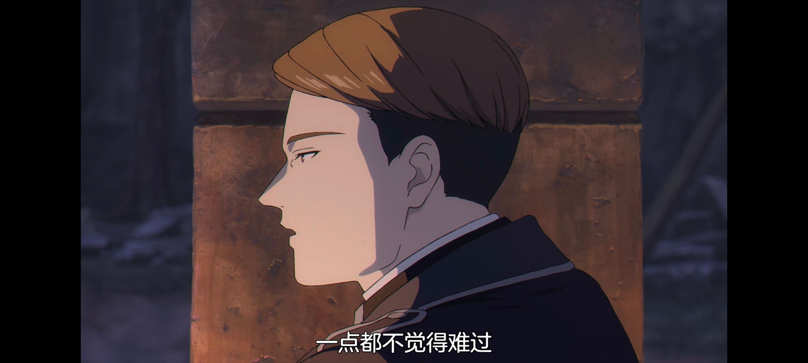 葬送的芙莉莲,动画,动漫,番剧,二次元,ACG