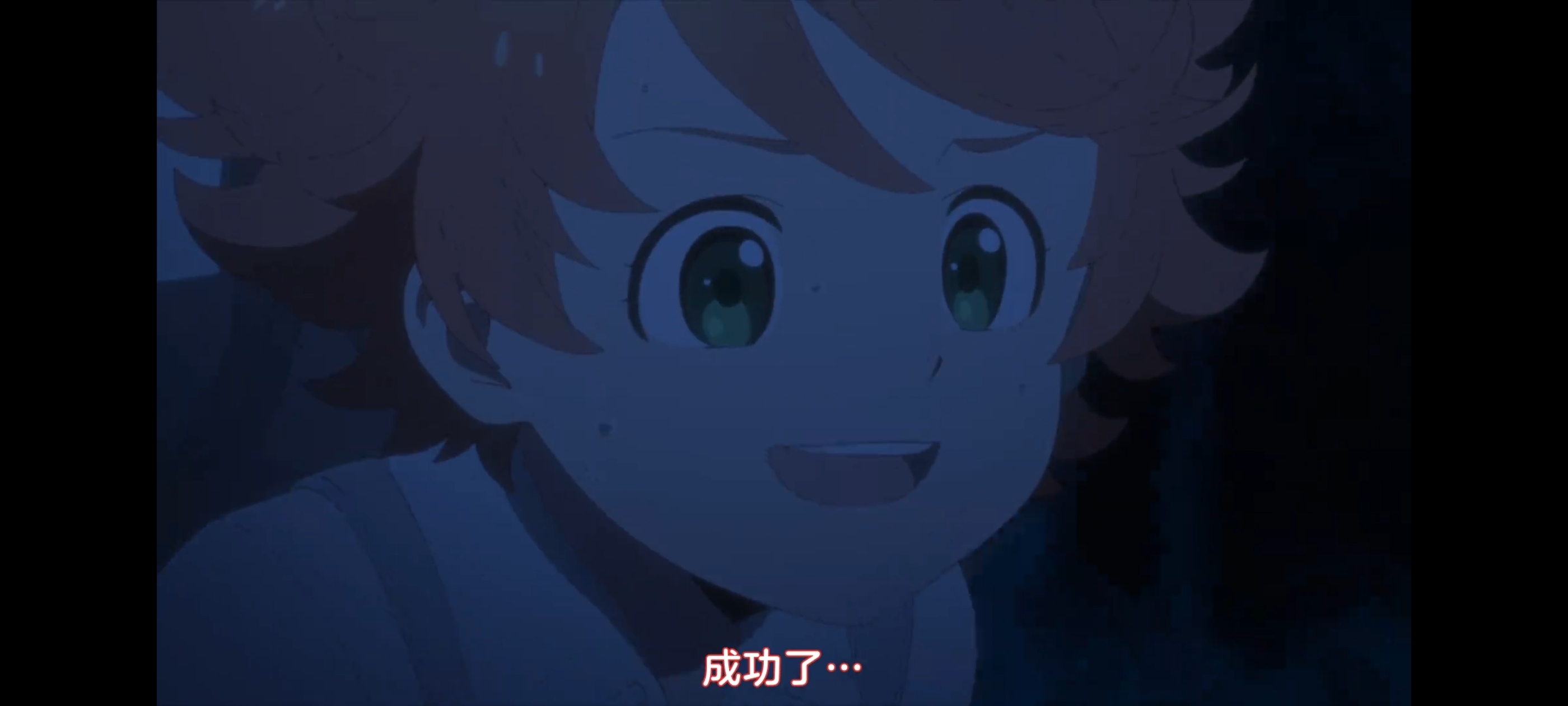 约定的梦幻岛,动画,动漫,番剧,二次元,ACG