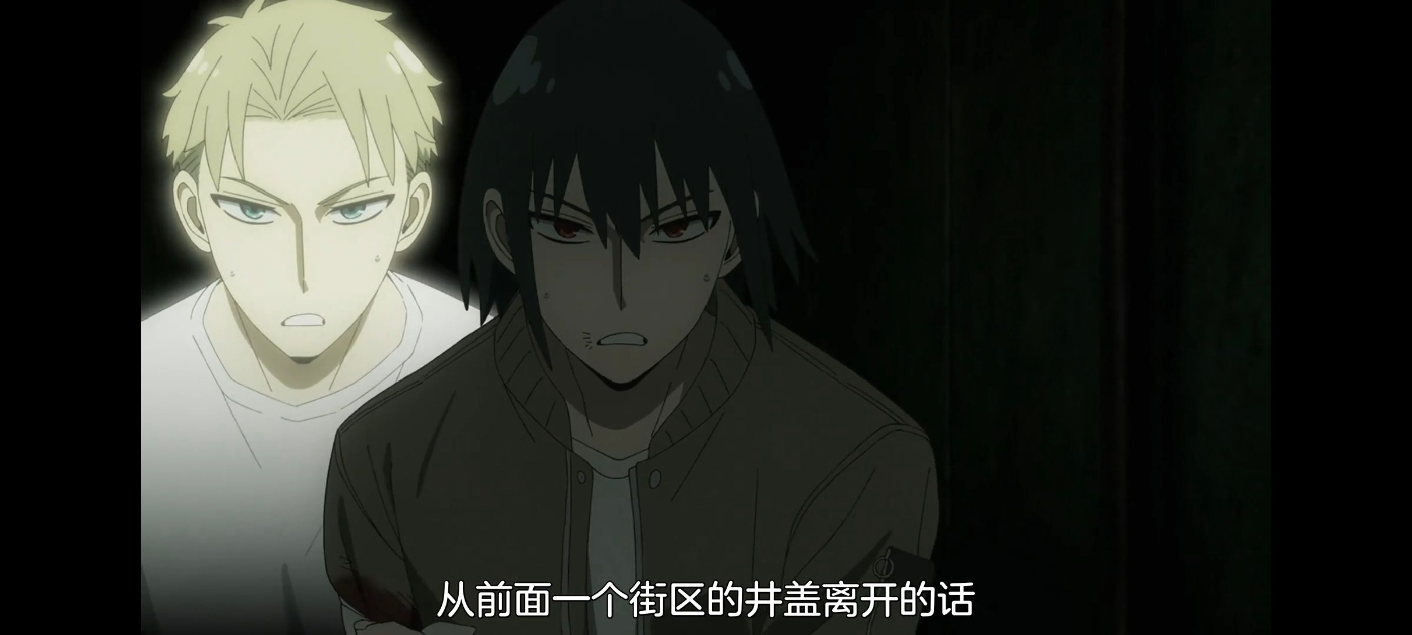 间谍过家家,SPYFAMILY,动画,动漫,番剧,ACG