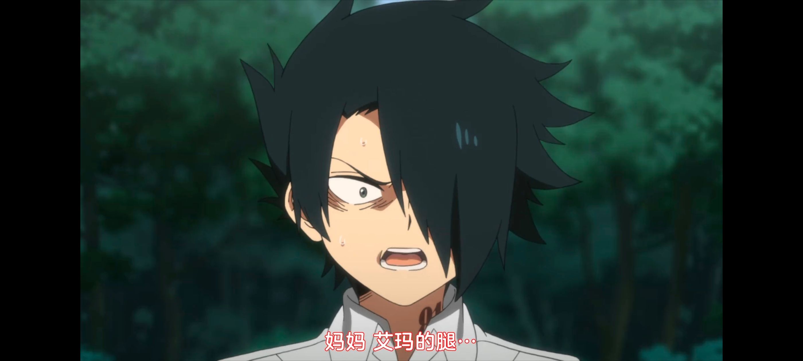 约定的梦幻岛,动画,动漫,番剧,二次元,ACG