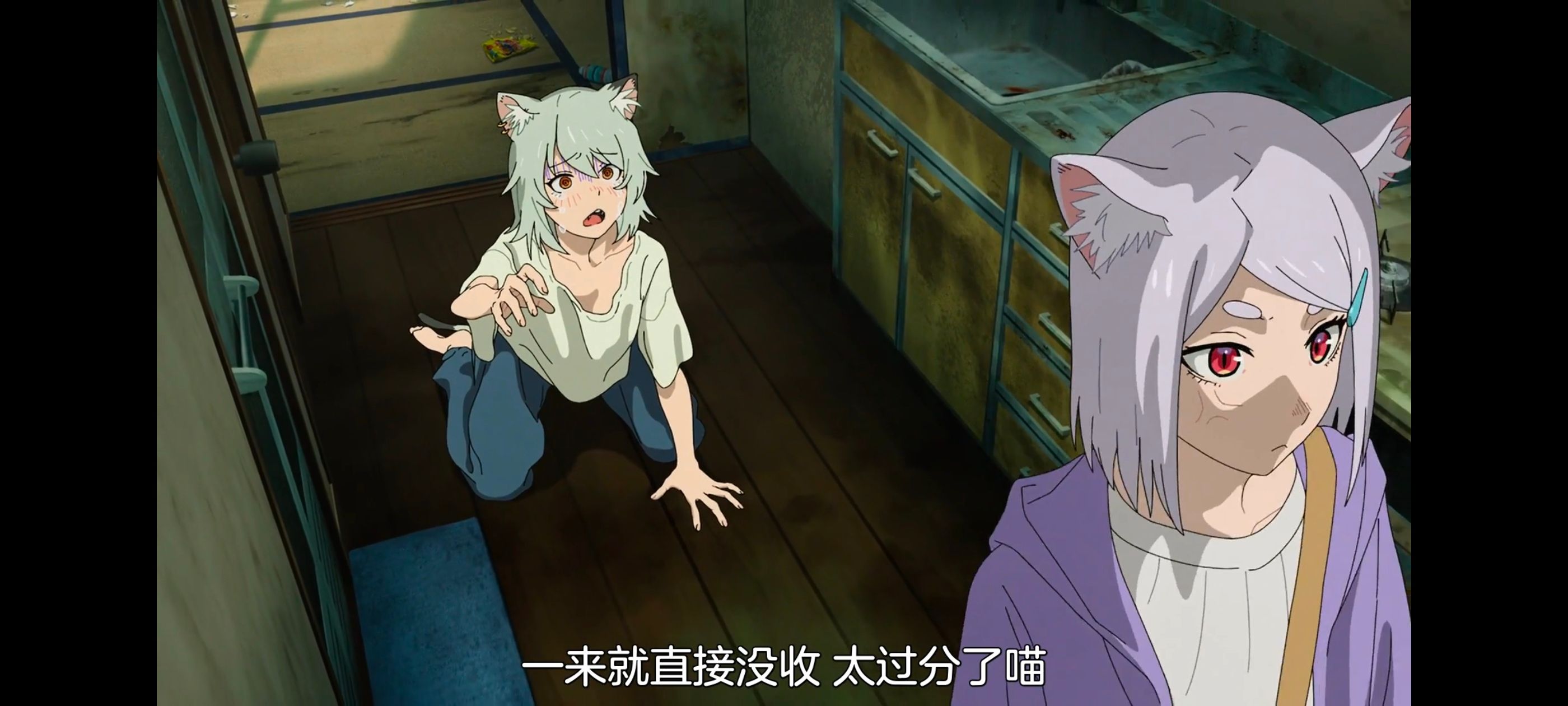 尼古喵喵,雅尼猫,动画,动漫,番剧,日漫,二次元,ACG