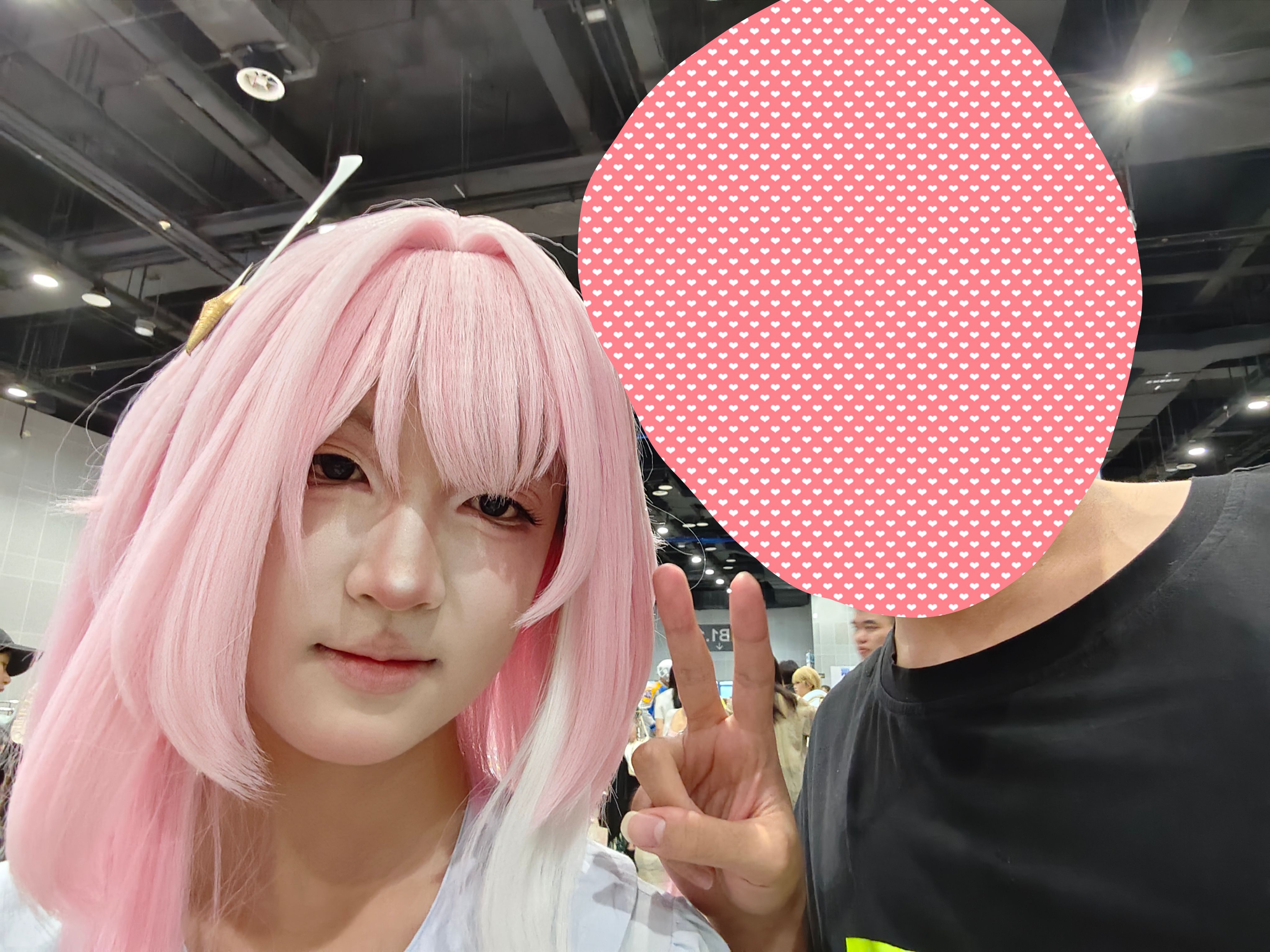 漫展,二次元,东方project,术力口,初音未来,镜音双子,特摄,奥特曼,Minecraft,痛车