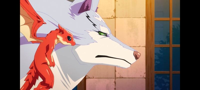 网购技能开启异世界美食之旅,拥有超常技能的异世界流浪美食家,动画,动漫,番剧,ACG