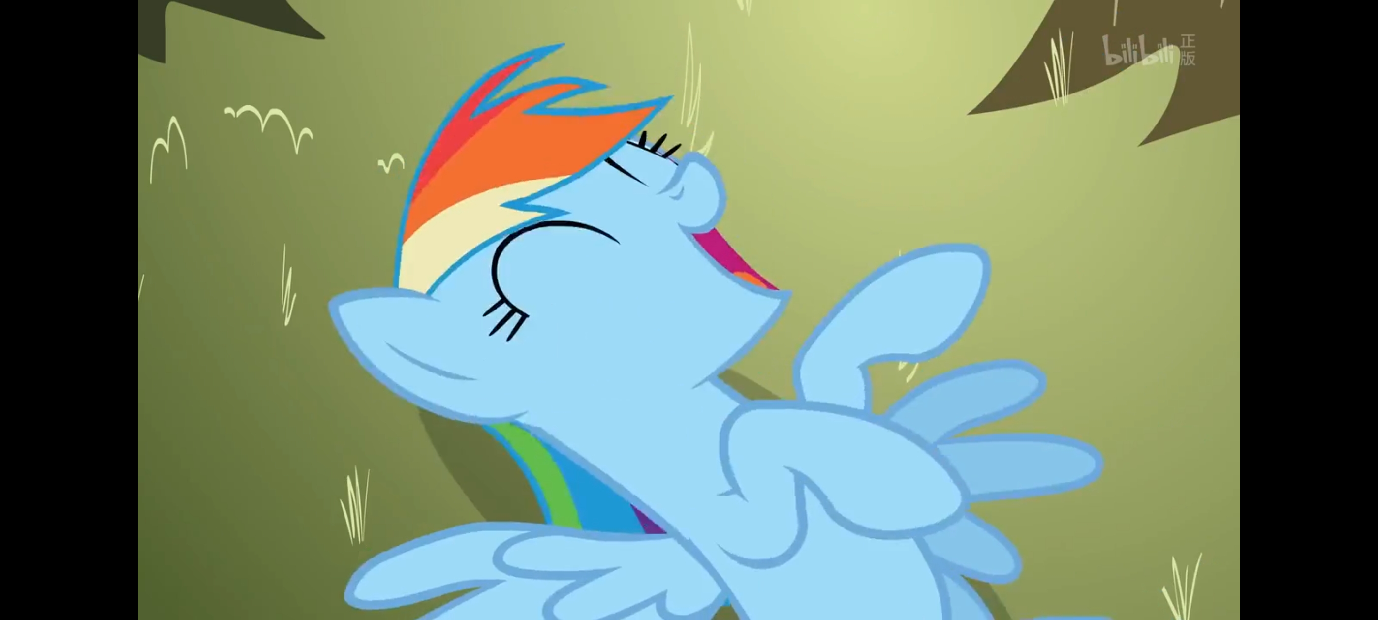 小马宝莉,彩虹小马,我的小马驹,动画,动漫,番剧,二次元,ACG