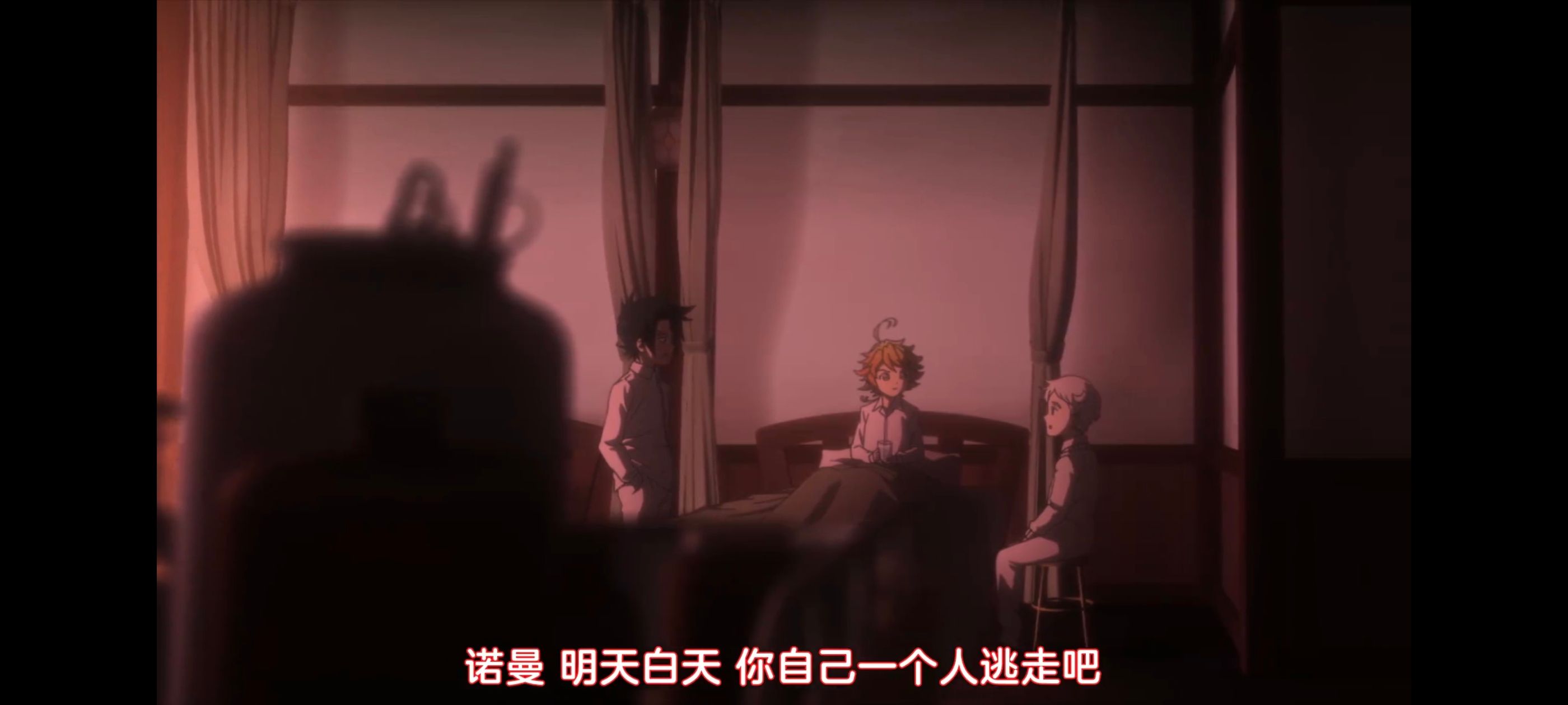 约定的梦幻岛,动画,动漫,番剧,二次元,ACG