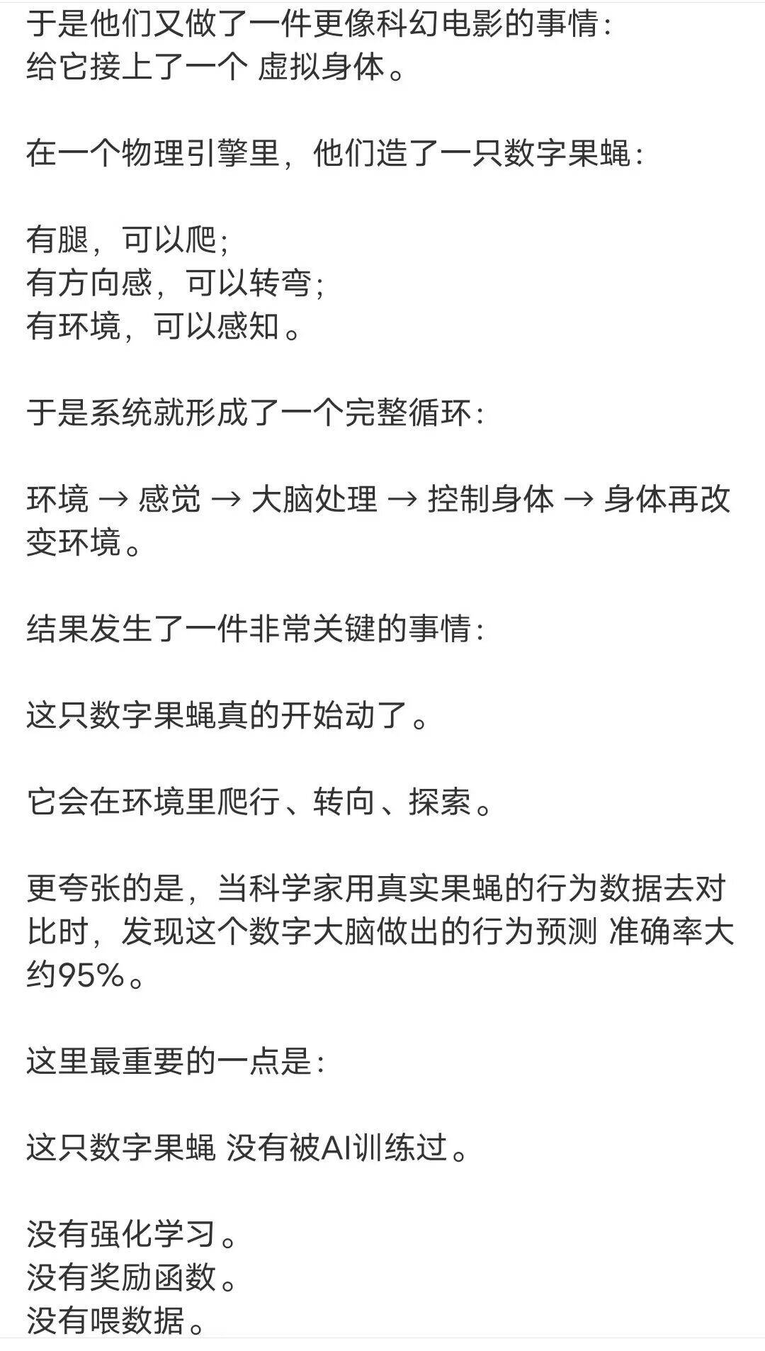 果蝇,电脑,科幻,科技