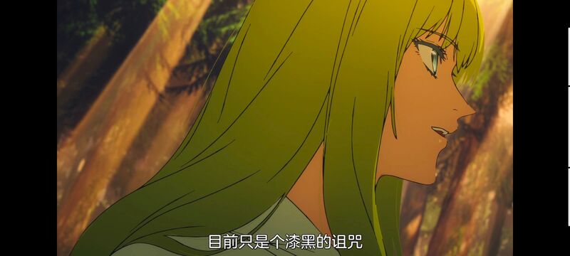 命运奇异赝品,FatestrangeFake,动画,动漫,番剧,ACG