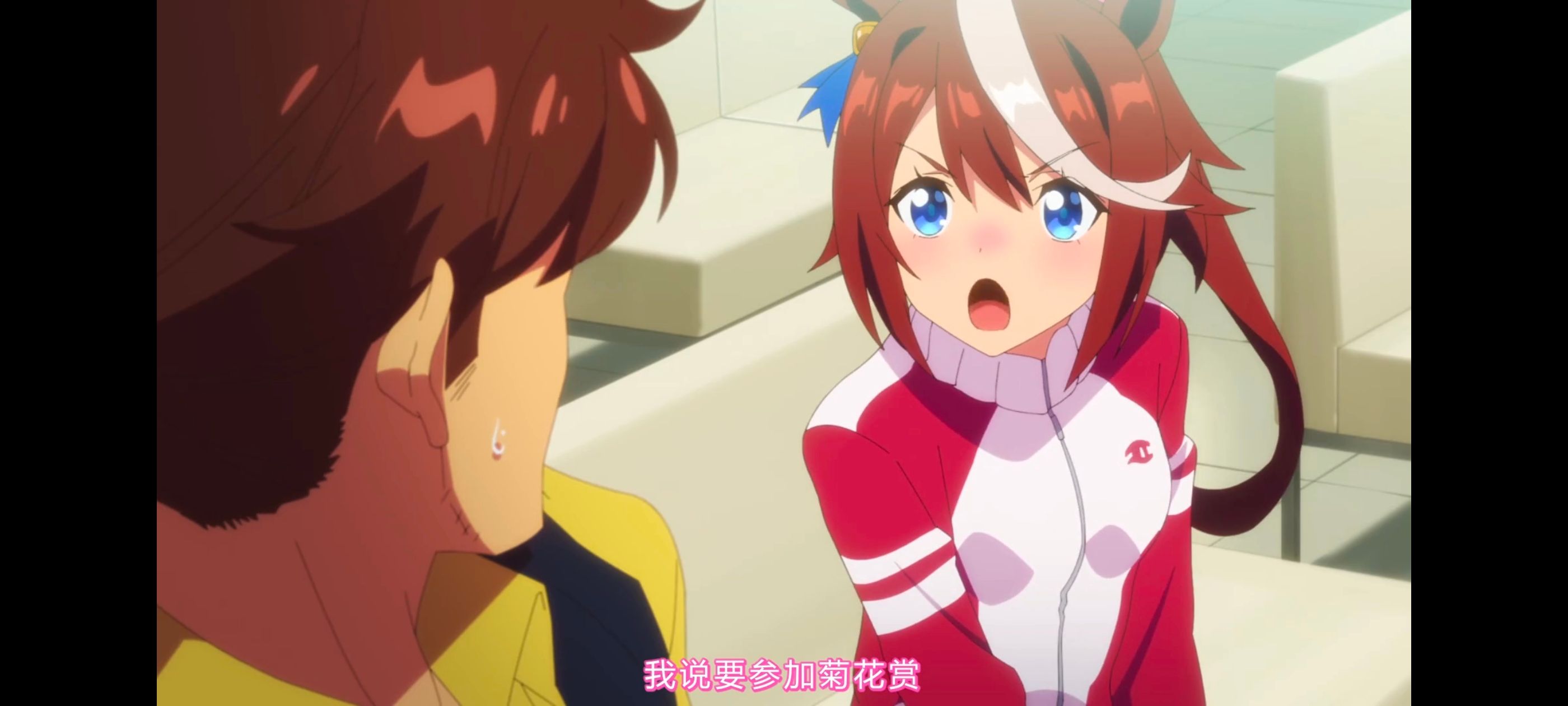 赛马娘,赛马娘第二季,动画,动漫,番剧,ACG