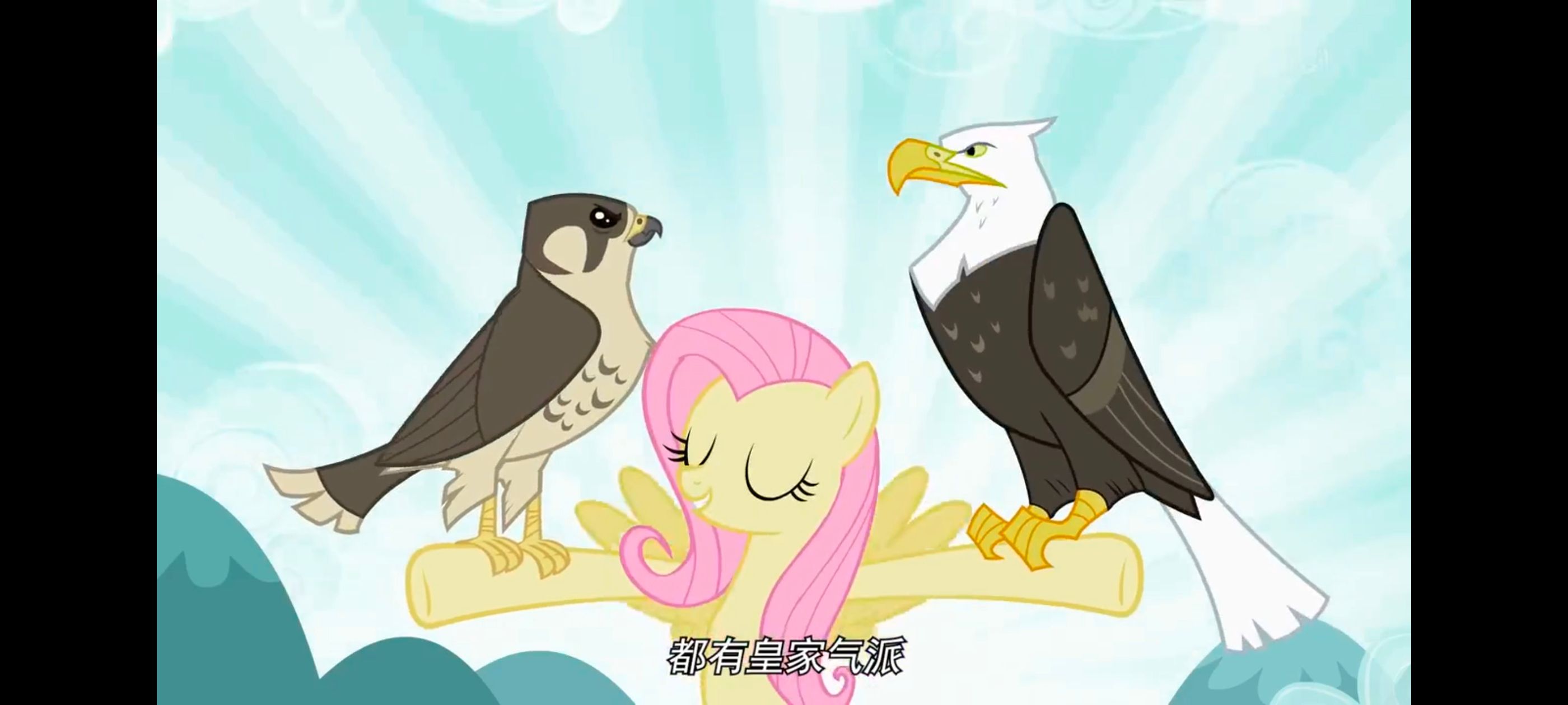 小马宝莉,彩虹小马,我的小马驹,动画,动漫,番剧,二次元,ACG