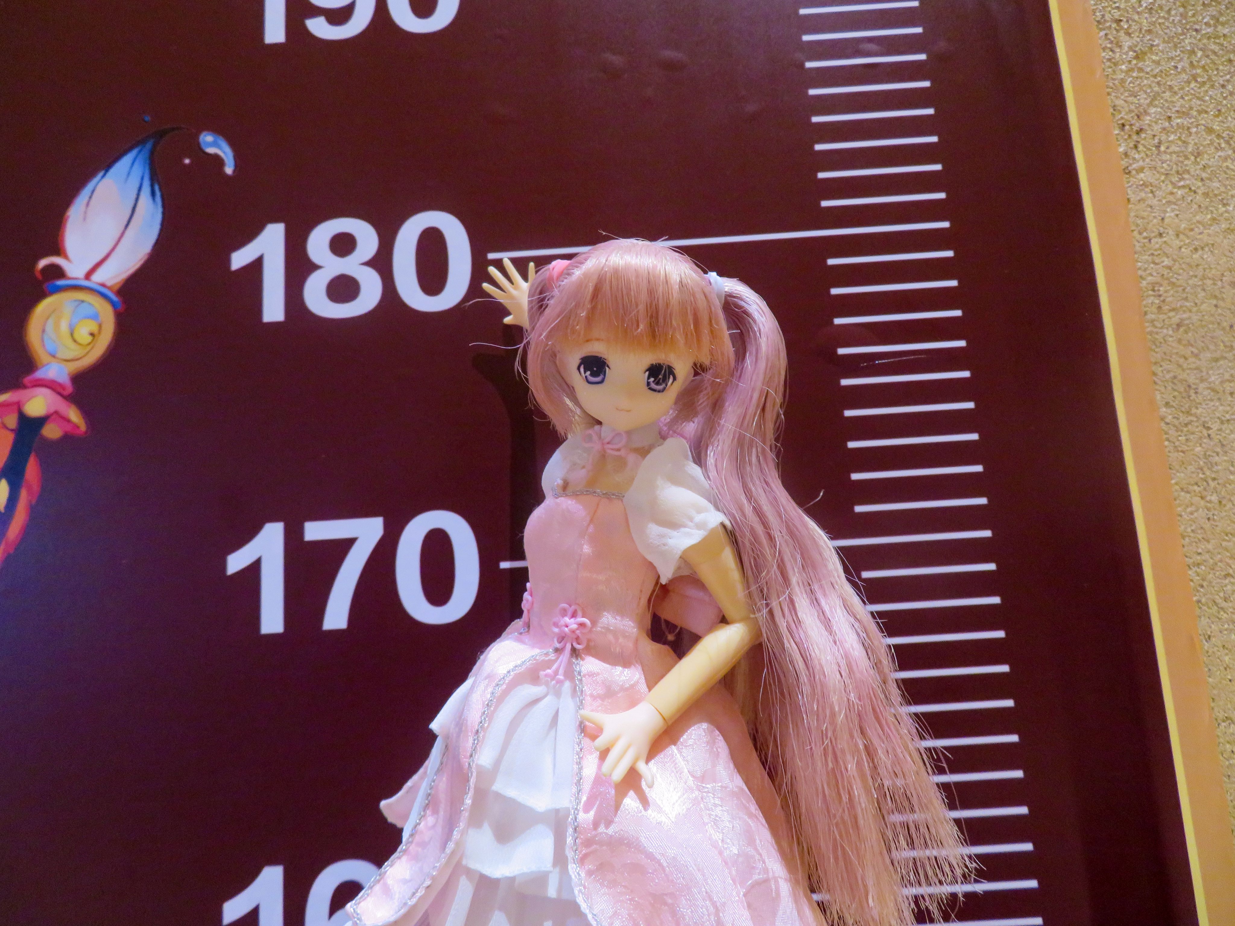 azone,摄影