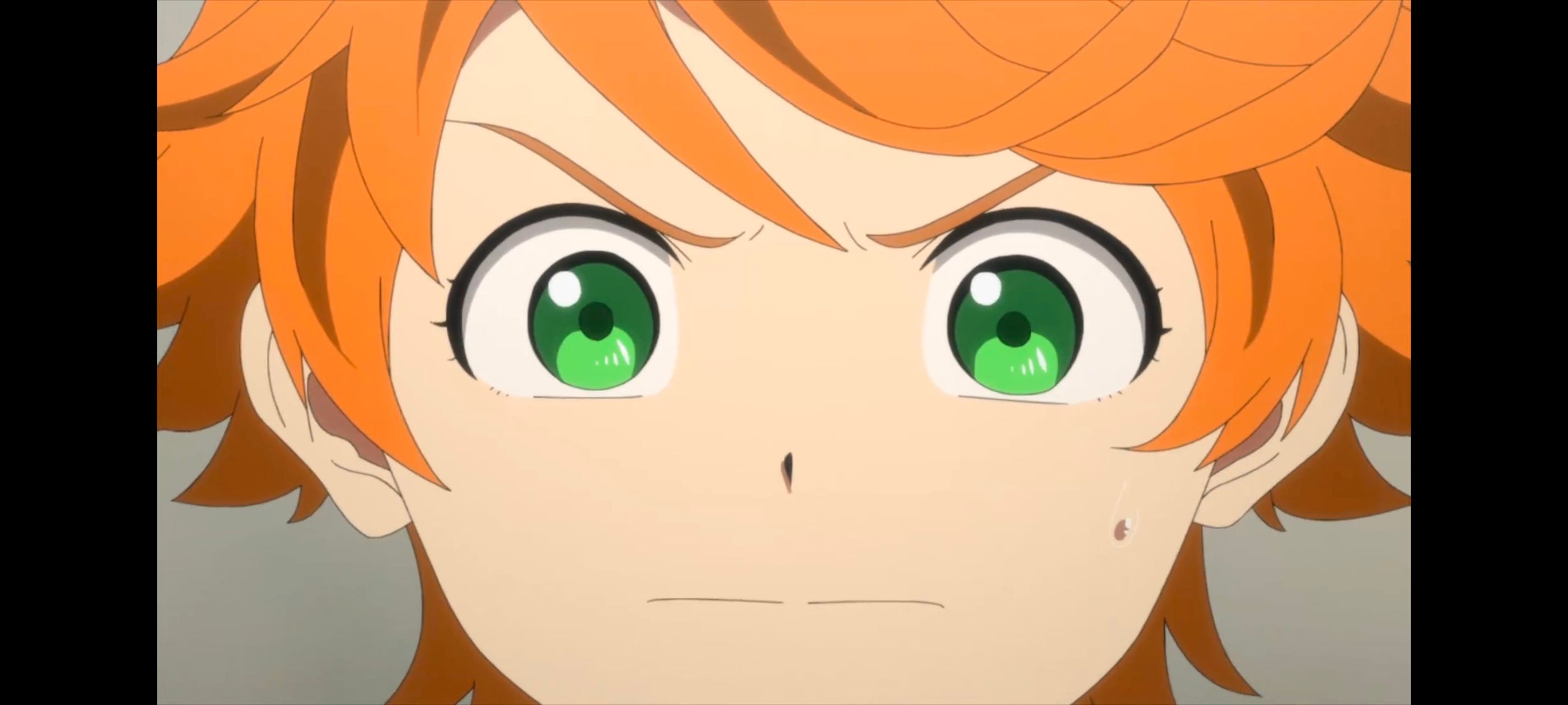 约定的梦幻岛,动画,动漫,番剧,ACG