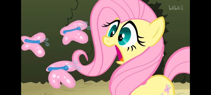 小马宝莉,小马宝莉友谊魔法,彩虹小马,我的小马驹,动画,动漫,番剧,ACG