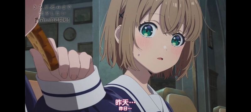 与你相恋到生命尽头,与你相恋到世界尽头,动画,动漫,番剧,百合,二次元,ACG
