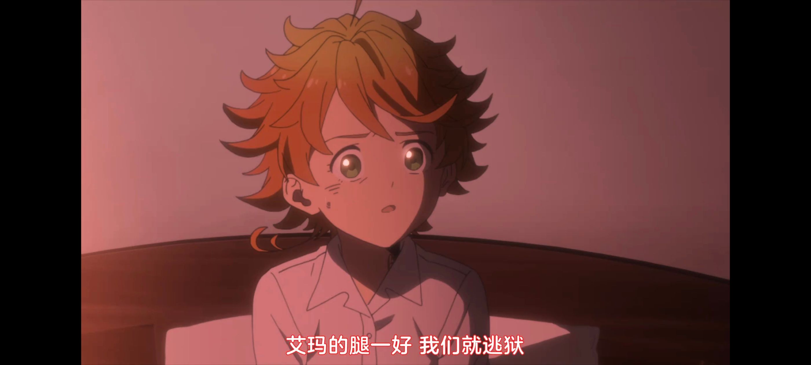 约定的梦幻岛,动画,动漫,番剧,二次元,ACG