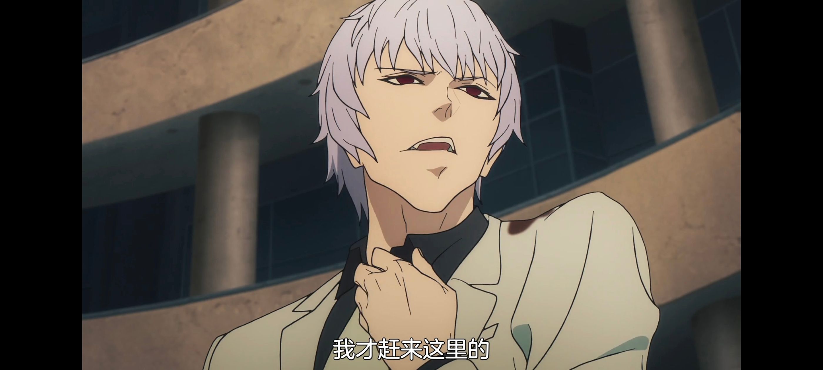 命运奇异赝品,FatestrangeFake,动画,动漫,番剧,ACG