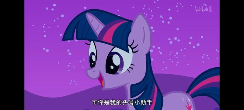 小马宝莉,彩虹小马,我的小马驹,动画,动漫,番剧,ACG,小马宝莉友谊魔法