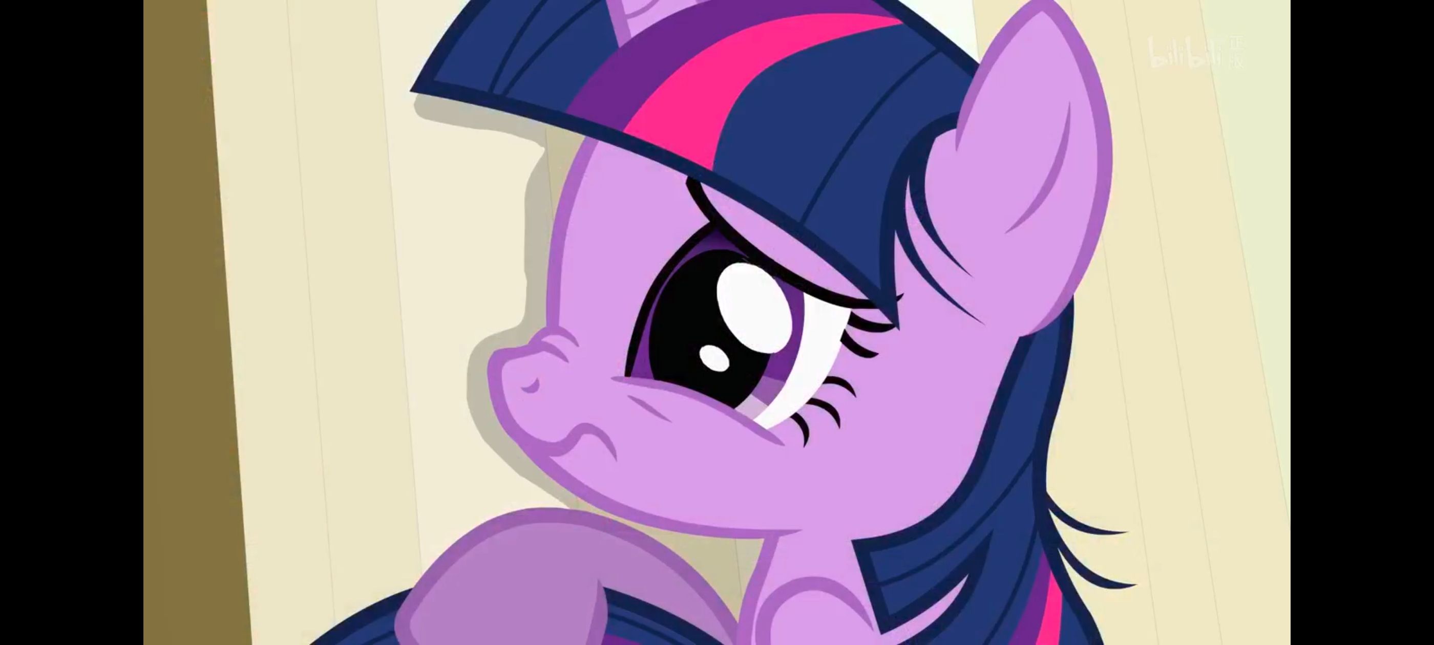 小马宝莉,小马宝莉友谊魔法,彩虹小马,我的小马驹,动画,动漫,番剧,ACG