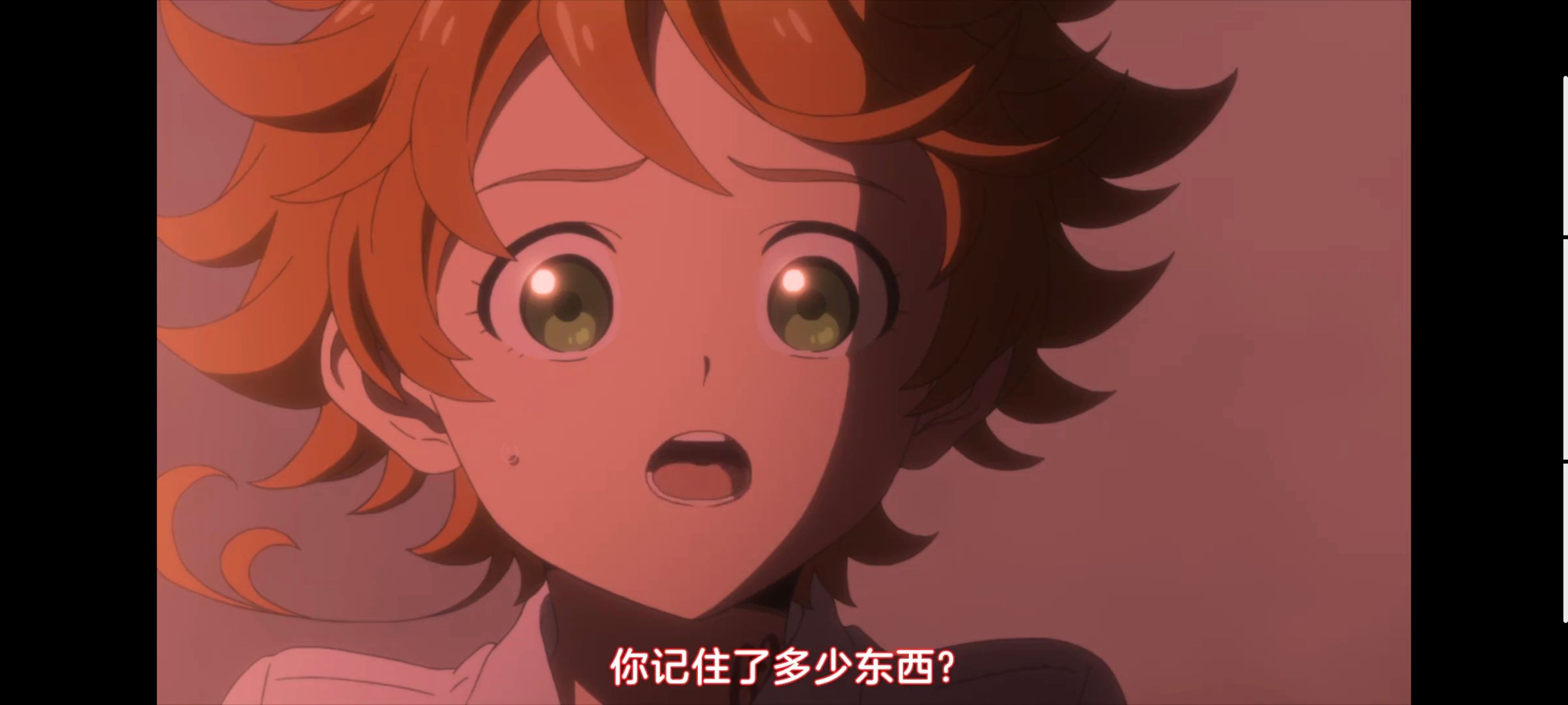 约定的梦幻岛,动画,动漫,番剧,二次元,ACG