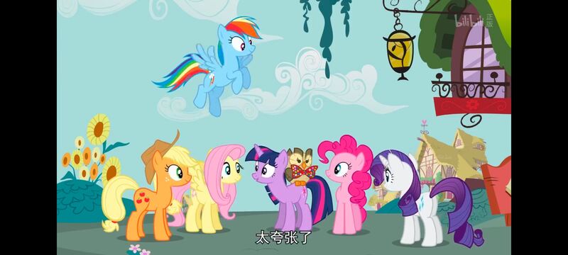 小马宝莉,彩虹小马,我的小马驹,动画,动漫,番剧,ACG,小马宝莉友谊魔法