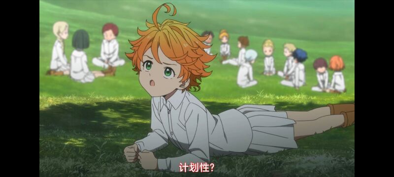 约定的梦幻岛,动画,动漫,番剧,ACG