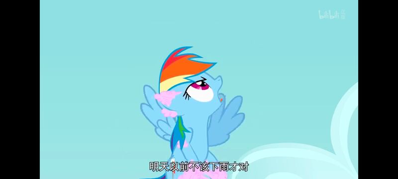 小马宝莉,小马宝莉友谊魔法,彩虹小马,我的小马驹,动画,动漫,番剧,ACG