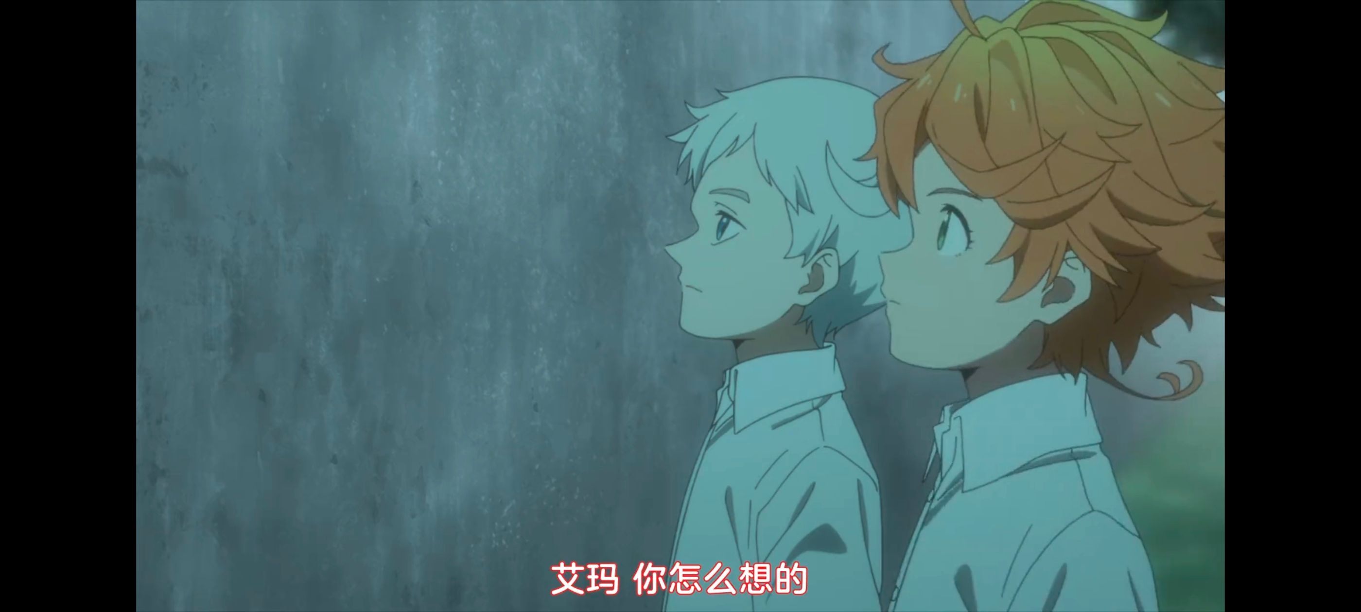 约定的梦幻岛,动画,动漫,番剧,ACG