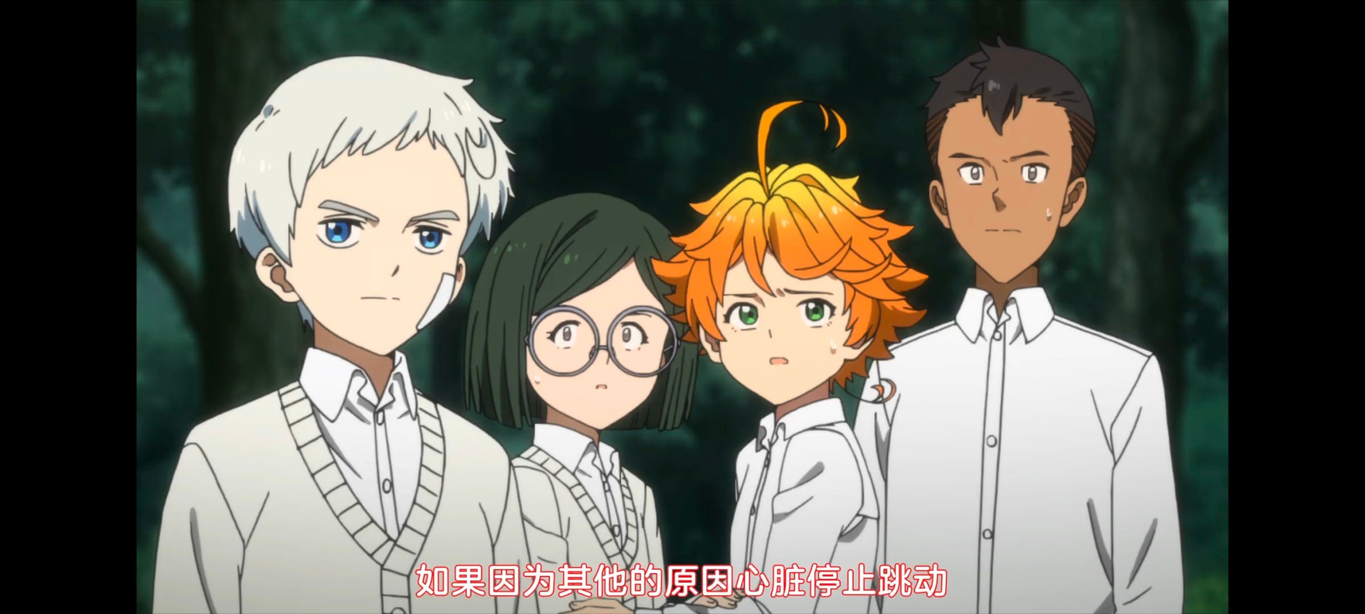 约定的梦幻岛,动画,动漫,番剧,二次元,ACG